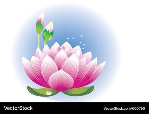 Lotus flower Royalty Free Vector Image - VectorStock