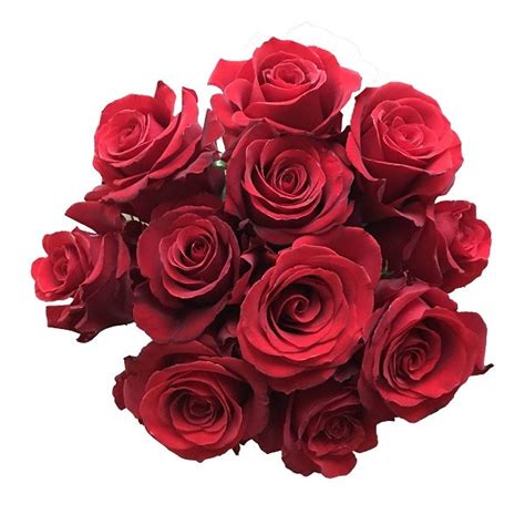 Sexy Red Classic Roses Online Flower Explosion