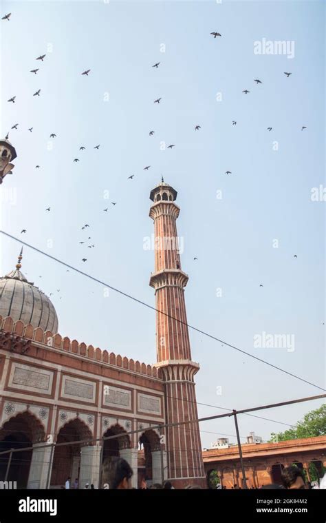 Jama Masjid Mosque Old Delhi India Stock Photo Alamy