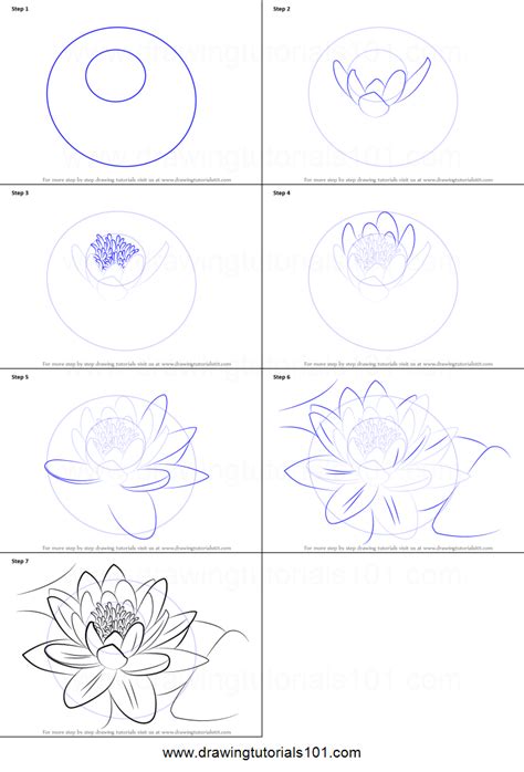 How To Draw A Water Lily : To get to our result, we'll be doing a lot ...