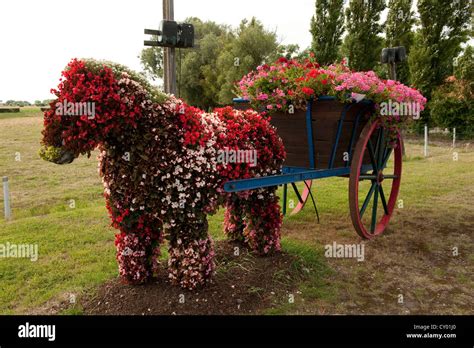 Pferdeform Topiary Fotos Und Bildmaterial In Hoher Aufl Sung Alamy