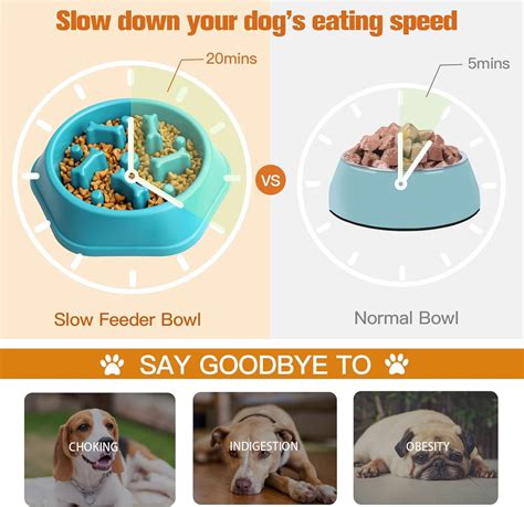 Upsky Cuenco De Alimentaci N Lenta Para Perro Antiasfixia