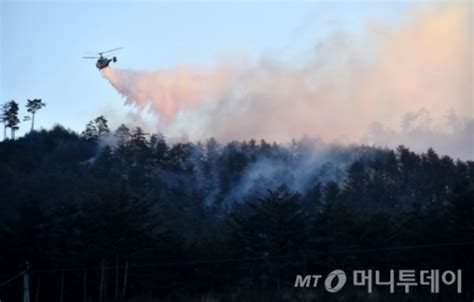 뉴욕 헬기추락 5명 사망 승객 가방이 원인 네이트 뉴스