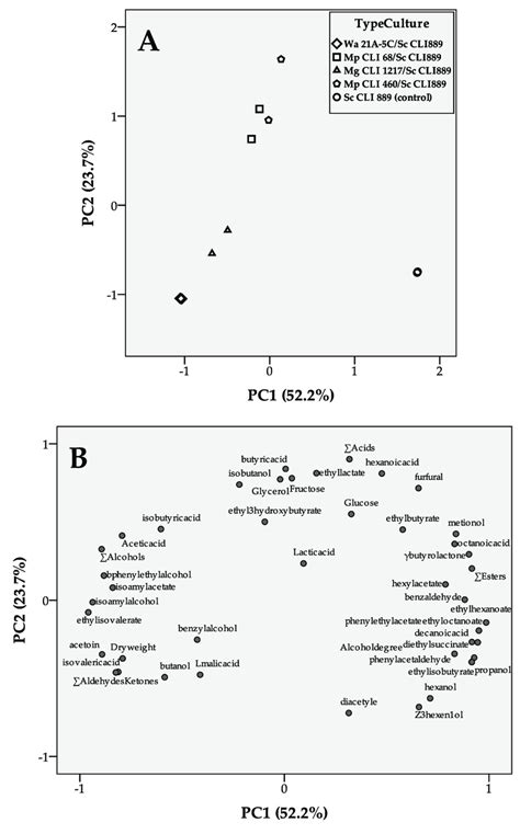 Principal Component Analysis Pca Score Plot A And Loadings Plot B