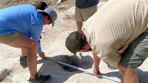 Dinosaur Tracks From 113 Million Years Ago Uncovered In Texas During