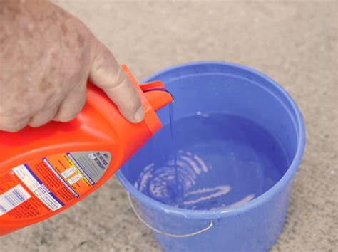 How To Clean Mildew From Concrete Dummies