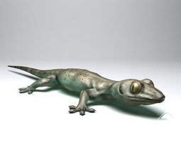 Gecko 3D Models | Download 3D Gecko files - CGTrader.com