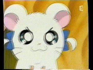 Out Of Context Hamtaro On Twitter Bijou Gets So Mad That It Damages