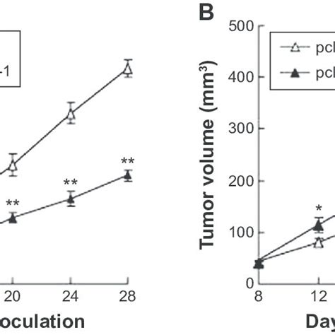 The Effect Of MalaT 1 On The Tumor Growth In Nude Mice Notes A The