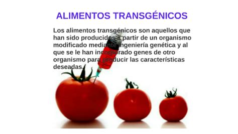 Ventajas y Desventajas de los Alimentos Transgénicos Cuadro Comparativo