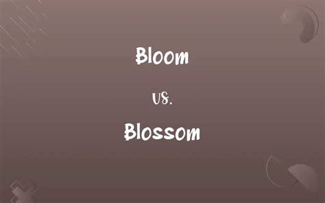 Bloom vs. Blossom: Know the Difference