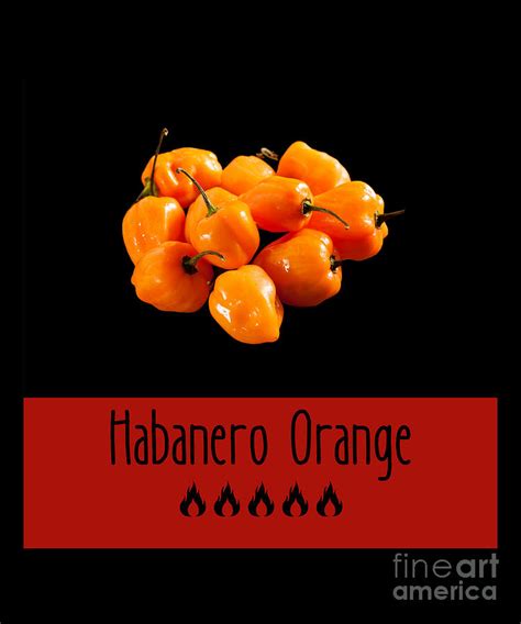 Habanero Orange Digital Art By Ten Shirt Fine Art America