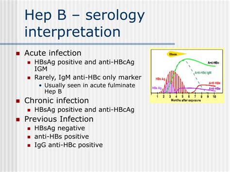 Ppt Hepatitis B Powerpoint Presentation Id 342774