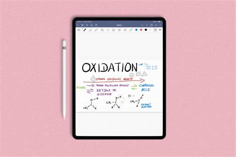 Tomar Apuntes Digitales En Tu Ipad Con Goodnotes Vivantic