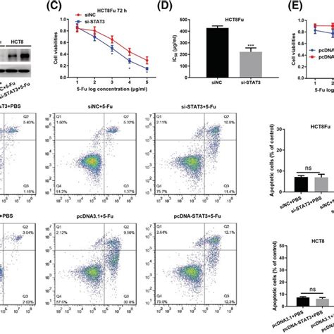 Stat3 Is Elevated In 5‐furesistant Colorectal Cancer Crc Tissues And