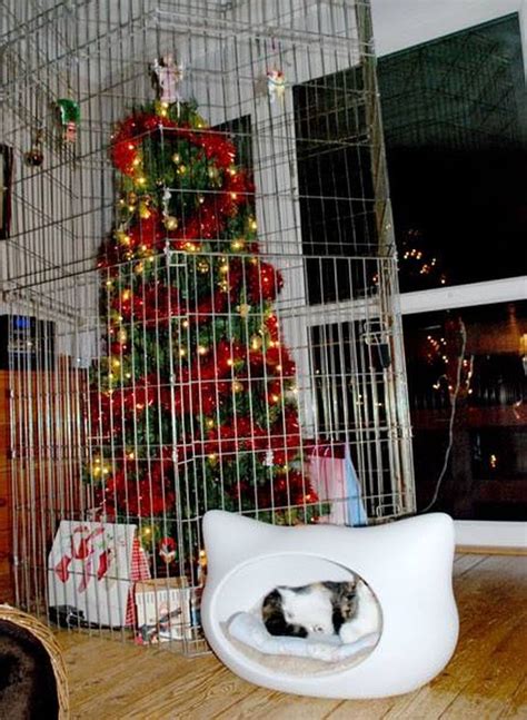 Wreck the Halls: 12 Pictures of Cats Destroying Christmas Trees | Cuteness