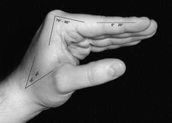 Biomechanics Wrist Hand Flashcards Quizlet