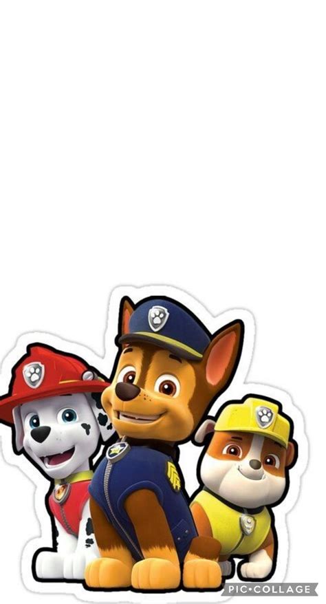 Pin Di Foreva Dank Su Paw Patrol Birthday Nel 2024