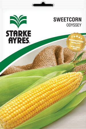 Odyssey Sweetcorn Seeds Starke Ayres Starke Ayres Starke Ayres