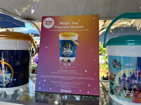 New Disneyland Popcorn Bucket Fern Orelie