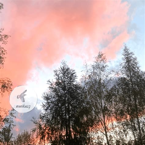 Цитаты о природе из «Алмазного языка» К.Г. Паустовского