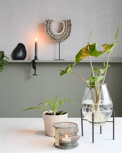 Botanische Stijl X Planten Inspiratie Makeover Nl Decor Design