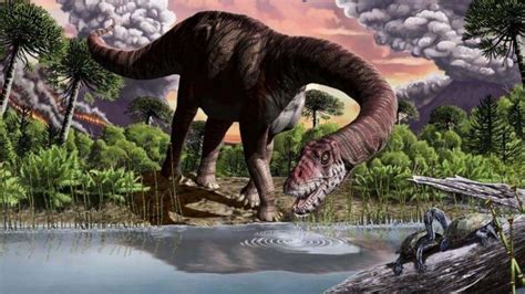 Hallaron en Neuquén restos de un dinosaurio que sería el más grande la