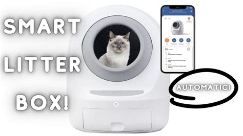 The BEST Automatic Self Cleaning Cat Litter Box YouTube