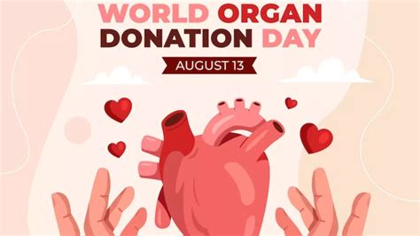 World Organ Donation Day वशव अग दन दवस पर इसक इतहस स लकर