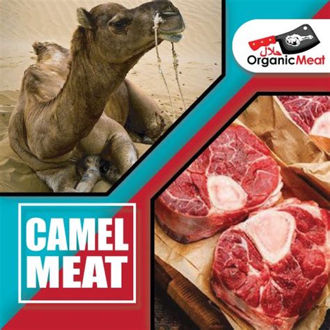 camel meat halal organic meat