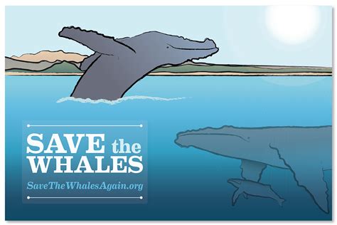 Save The Whales On Behance