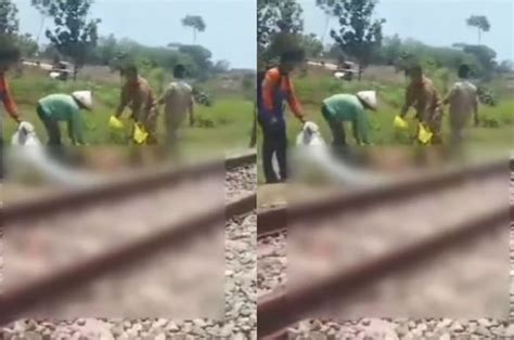 Viral Petani di Cilacap Tertabrak Kereta Api Hingga Tewas - Ntvnews.id