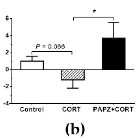 Papz Ameliorated Learning And Memory Impairment Induced By Cort In Download Scientific Diagram