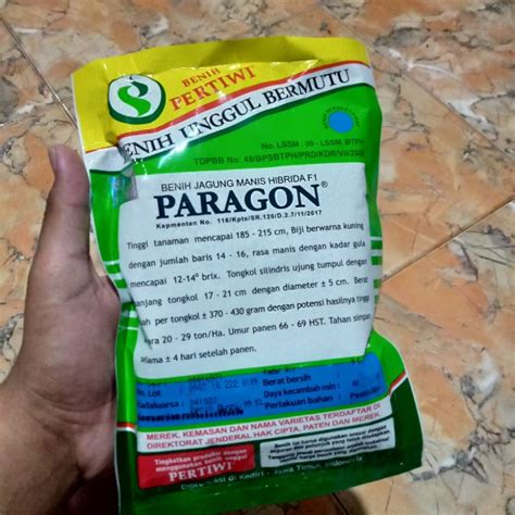 Jual Benih Jagung Manis Hibrida F Paragon Kemasan Gram Shopee