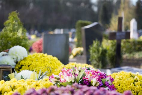 Quelles sont les fleurs à planter en ce moment Housekeeping