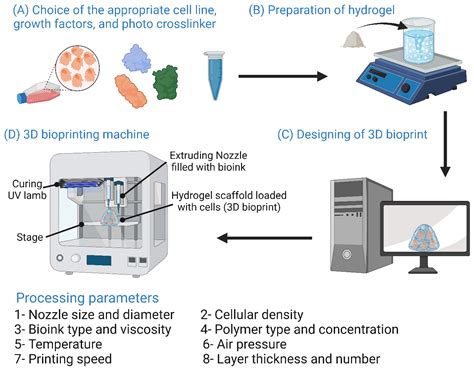 Bioengineering Free Full Text A Review Of 3D Polymeric Scaffolds