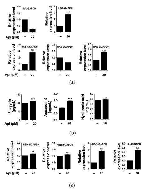 Effects Of Apigenin On The Expression Of The Genes Related To The