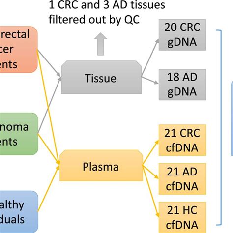 Schematic Flowchart Of Sample Collection And Filtering Download Scientific Diagram