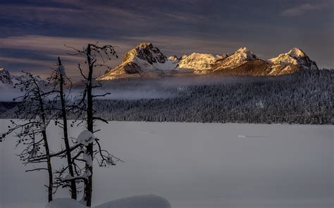 X Winter Forest Landscape Nature Snow Macbook Pro Retina Hd K