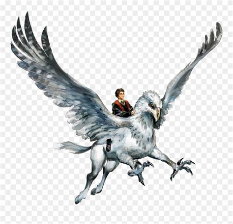 Download Hyppogriff Clipart Harry Potter Hippogriff - Harry Potter Buckbeak Png Transparent Png ...