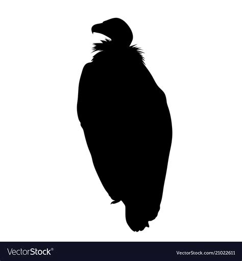 Black silhouette of sitting vulture on white Vector Image