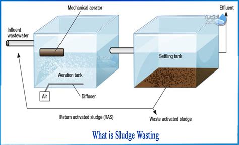 What Is Sludge Wasting Netsol Water