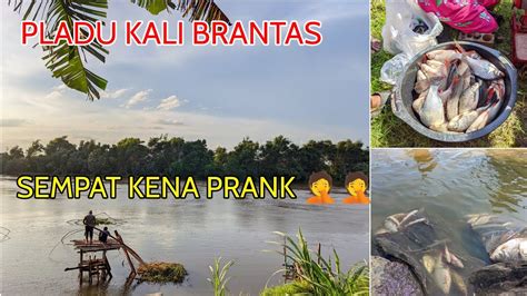 Pladu Bendungan Kediri Pladu Sungai Brantas Kediri Pladu Kali