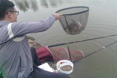 想要「願者上鉤」，看看這8條釣魚禁忌，你中了幾條 每日頭條