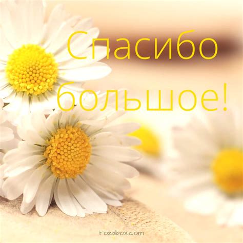 Открытки со словами благодарности для Facebook - RozaBox.com