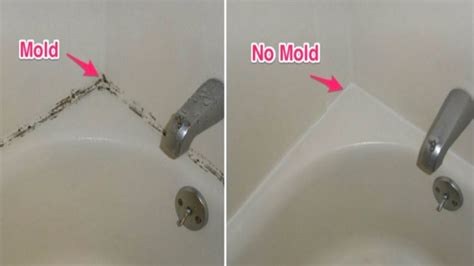 How To Get Rid Of Bathroom Mold Artcomcrea