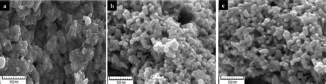 Scanning Electron Microscope Sem Image Of Synthesized Nanoparticles