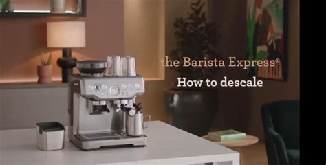 How To Descale Breville Espresso Machine In 7 Easy Steps