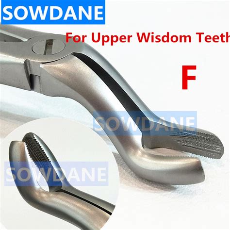 Stainless Steel Dental Tooth Extraction Forceps Adult Teeth Extracting