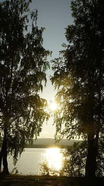 Rboles Lago Atardecer Foto Gratis En Pixabay Pixabay